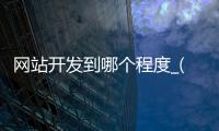 网站开发到哪个程度_(网站开发大致需要哪些步骤)