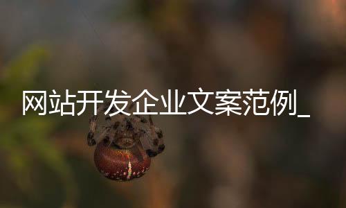 网站开发企业文案范例_(网站开发企业文案范例大全)