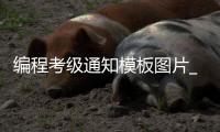 编程考级通知模板图片_(编程考级通知模板图片下载)