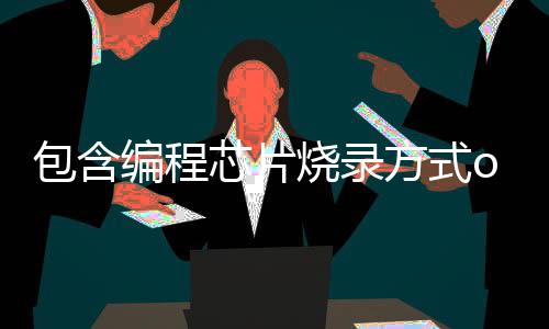 包含编程芯片烧录方式otp的词条