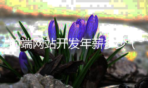 前端网站开发年薪多少（前端网页开发）