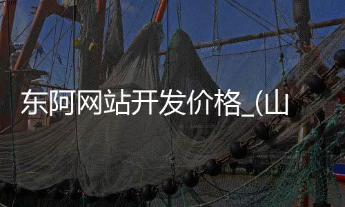 东阿网站开发价格_(山东东阿网络诈骗最新进展)