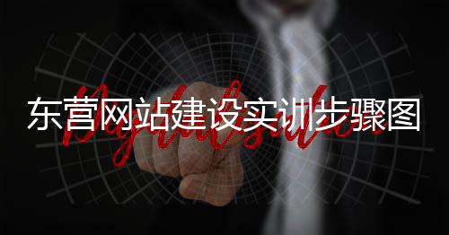 东营网站建设实训步骤图（东营wordpress网站建设）