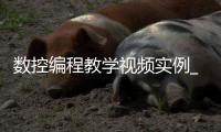 数控编程教学视频实例_(数控编程教学视频实例分析) 
