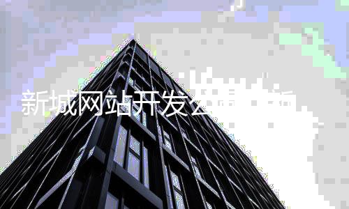 新城网站开发公司_(新城网站开发公司怎么样)