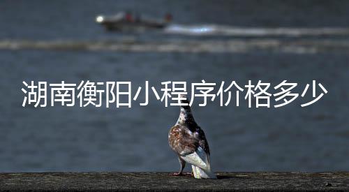 湖南衡阳小程序价格多少(衡阳可约)