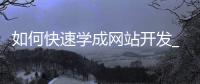 如何快速学成网站开发_(新手学做网站应如何开始)
