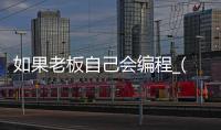如果老板自己会编程_(如果老板自己会编程怎么办)