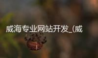 威海专业网站开发_(威海网站设计itweihai)