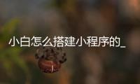 小白怎么搭建小程序的_(小白怎么搭建小程序的网页)