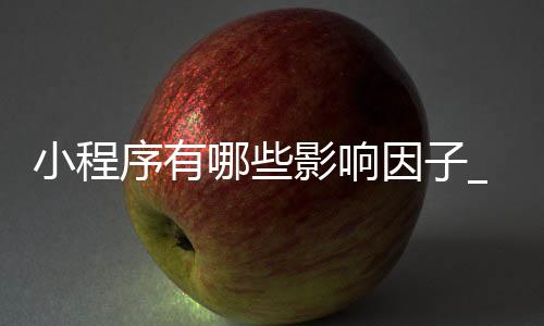 小程序有哪些影响因子_(小程序有哪些影响因子高的)