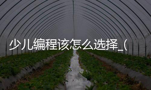 少儿编程该怎么选择_(少儿编程入门先学什么)