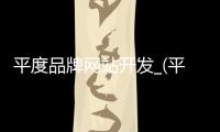 平度品牌网站开发_(平度品牌网站开发招聘信息)