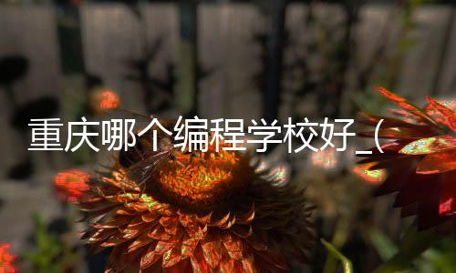 重庆哪个编程学校好_(重庆学编程哪个学校好)