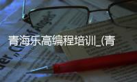 青海乐高编程培训_(青海乐高编程培训机构)
