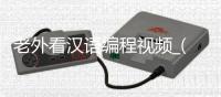 老外看汉语编程视频_(老外学汉语的笑话段子)